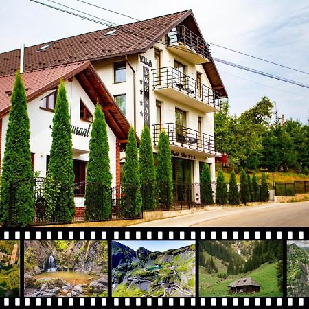 Vila Swe Sar Otel Curtea de Argeş Dış mekan fotoğraf